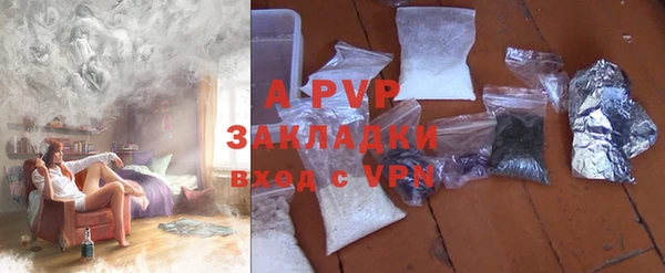 крисы Богородицк