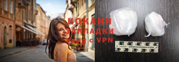 крисы Богородицк