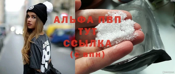 крисы Богородицк