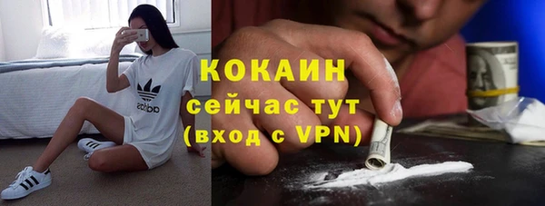 крисы Богородицк