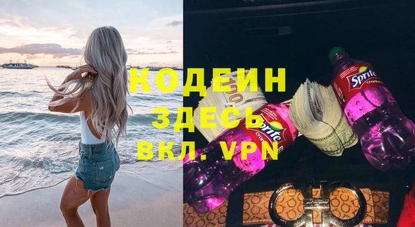 крисы Богородицк