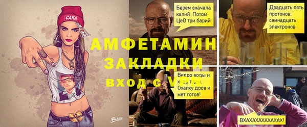 крисы Богородицк