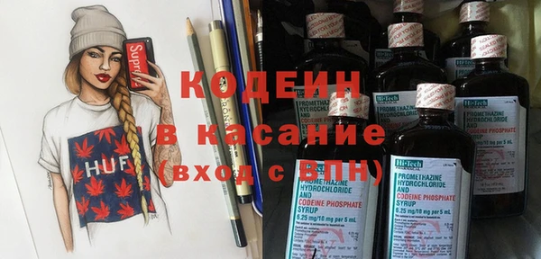 крисы Богородицк