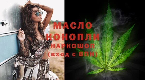 крисы Богородицк