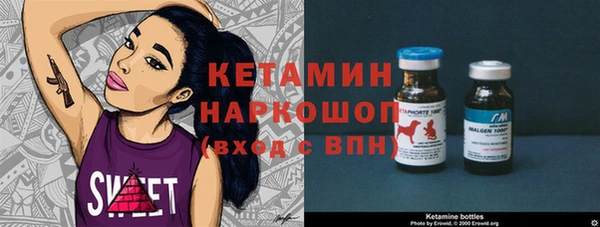 прущий лед Бородино