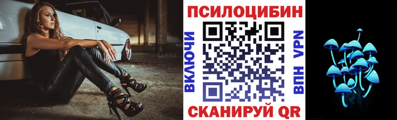 Купить закладки Бирск Псилоцибиновые грибы MAGIC MUSHROOMS